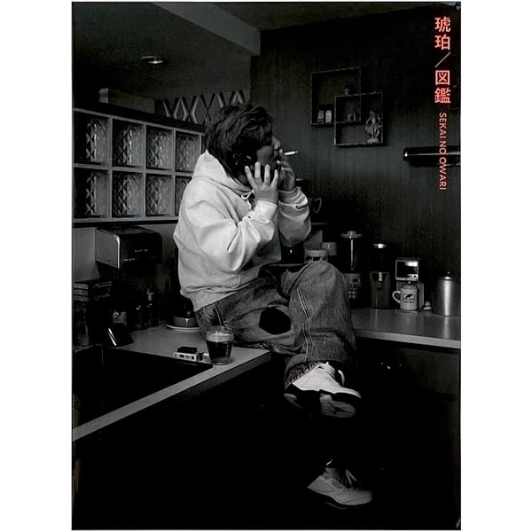 琥珀/図鑑 FC15周年 完全数量限定 琥珀／図鑑 【FC限定15周年記念SPECIAL盤（完全数量限定
